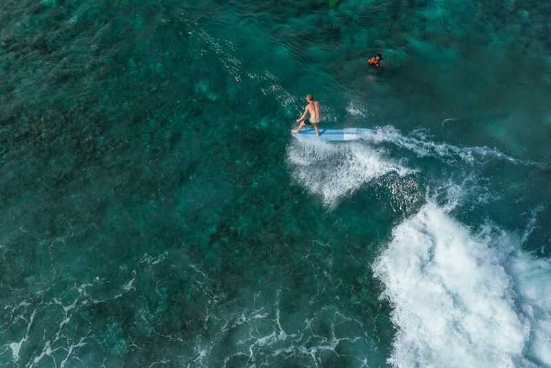 THE DON / THE DON XL Torq Surfboards - Image 5