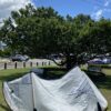 Used 2024 Naish Pivot 10m NVISION Kite - Image 2